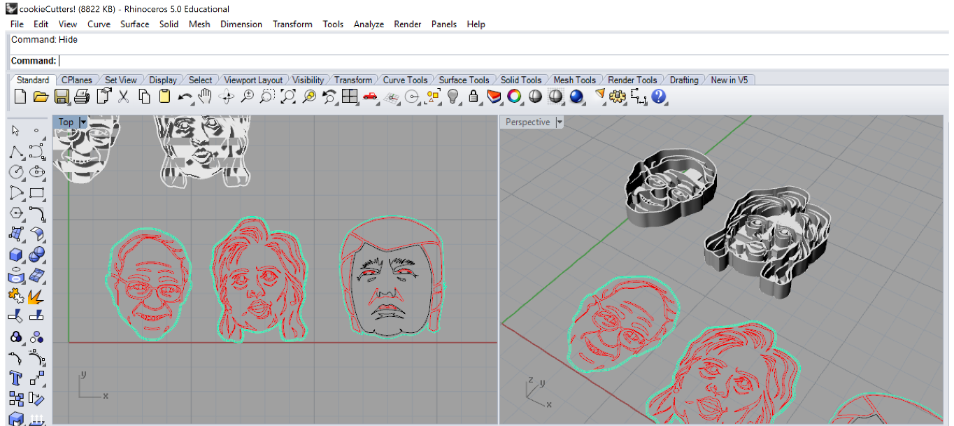 Rhino Process